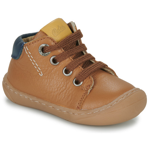 Aster - CHYOSO - Camel