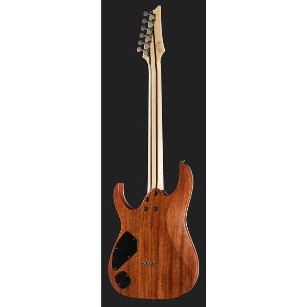 Ibanez RGR5221-TFR Prestige