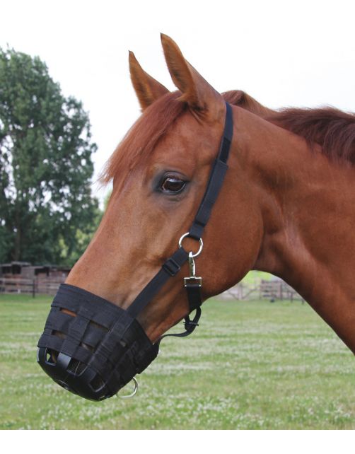Waldhausen Grasmuilkorf Gevoerd Zwart - Paardenaccessoires