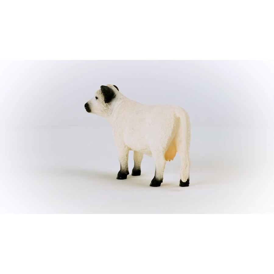 schleich® Galloway Kuh 13960