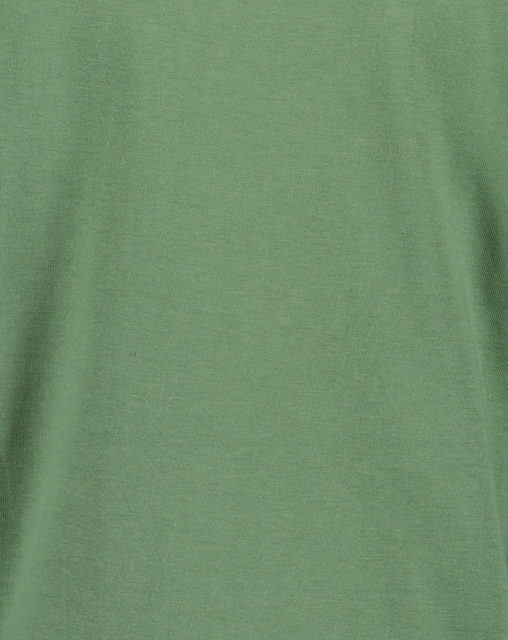 Langarmshirt T-REX ATTACK in dunkelgrün