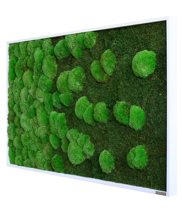 styleGREEN Bild aus Wald- und Kugelmoos im