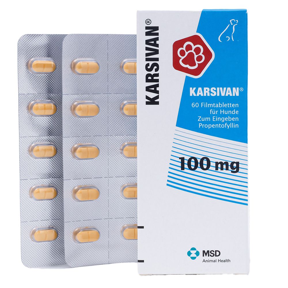 KARSIVAN® 100 mg Vet