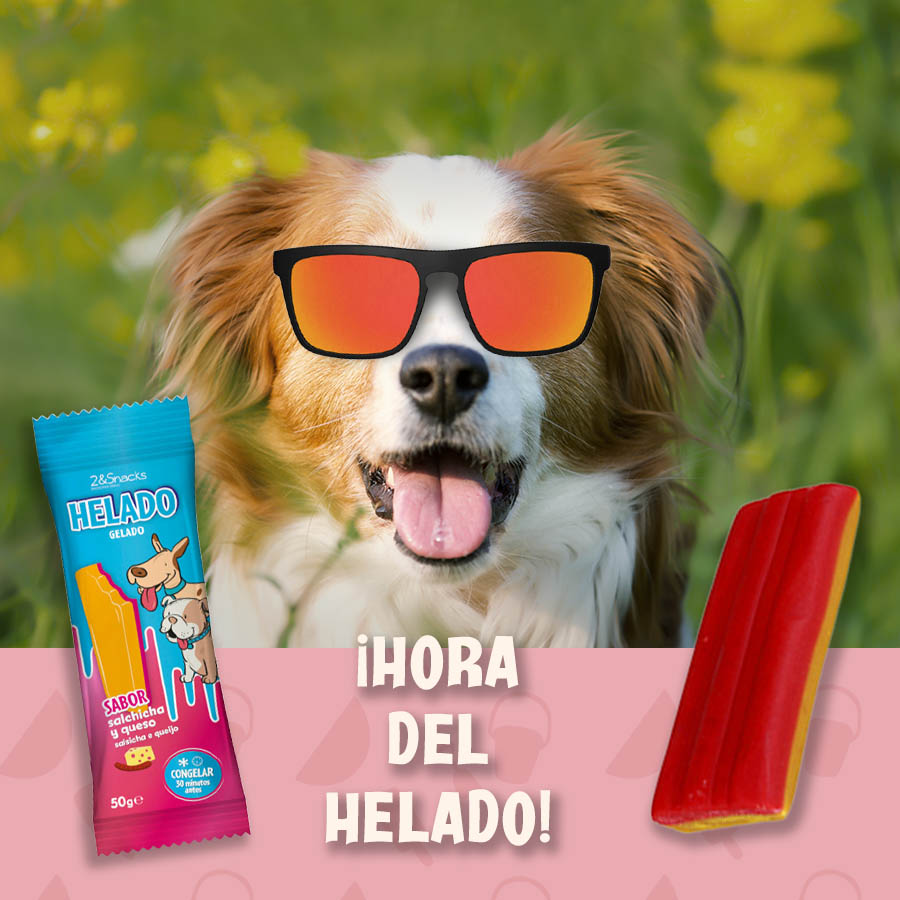 Sorvete de salsicha e queijo 2&Snacks para cães