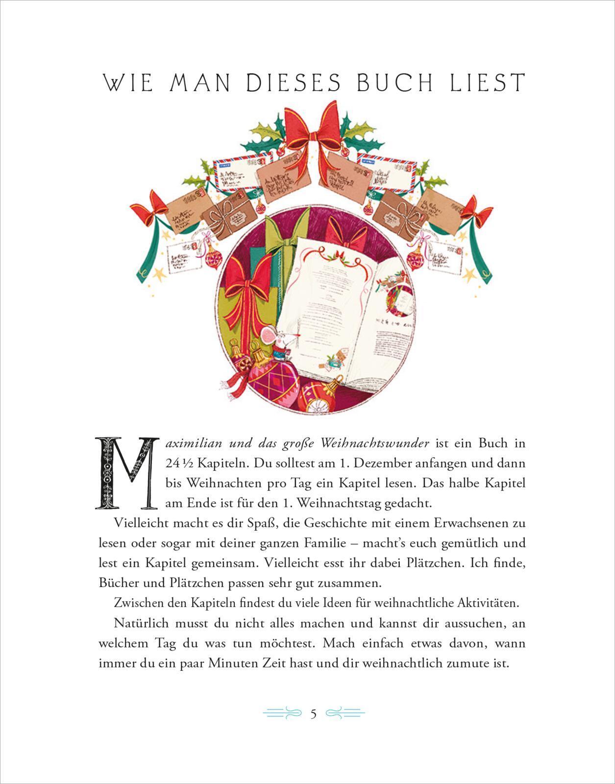 Maximilian und das große Weihnachtswunder / Maximilian Bd.2