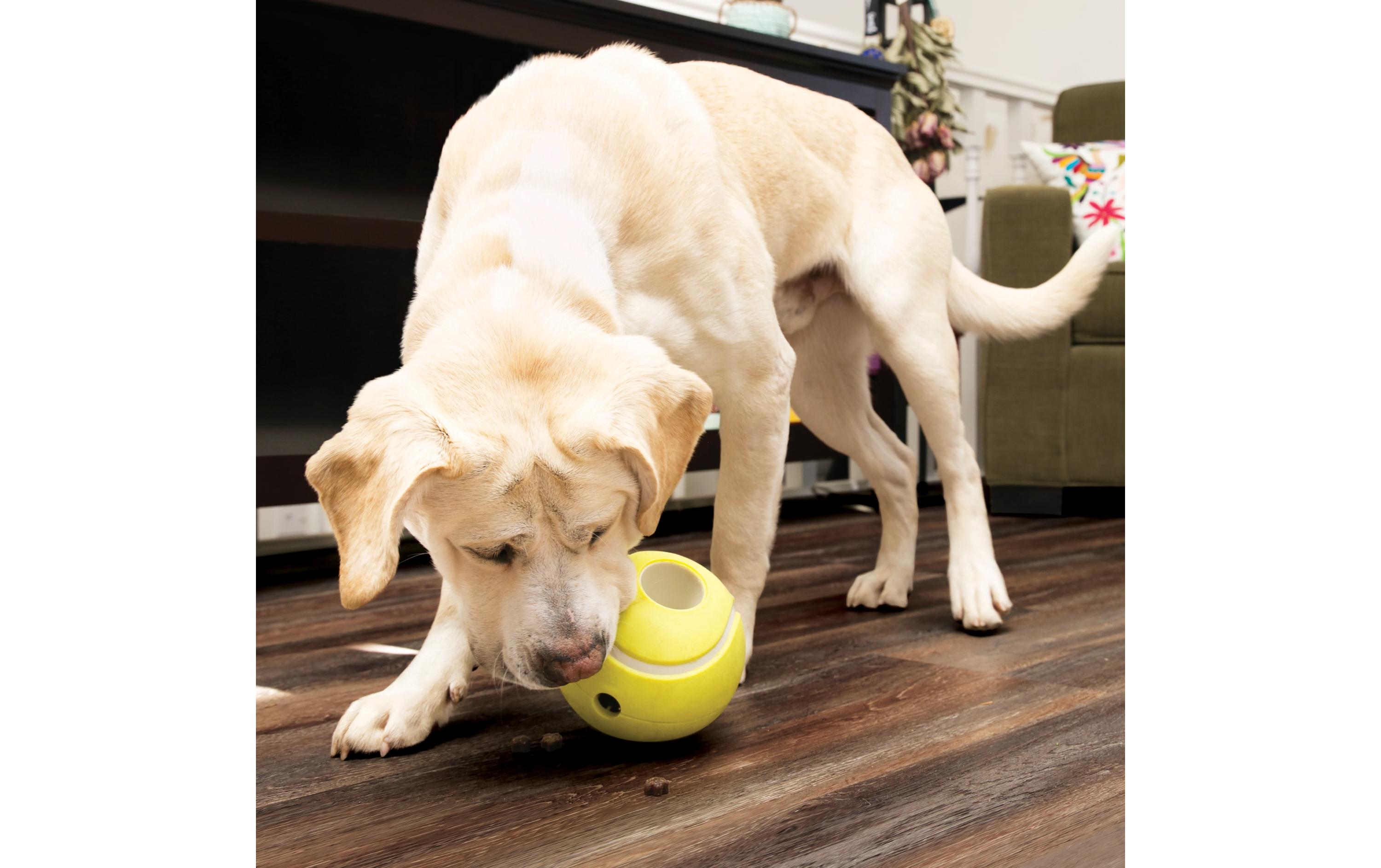 Futterball Rewards Tennis L Ø 14 cmFutterball für Hunde