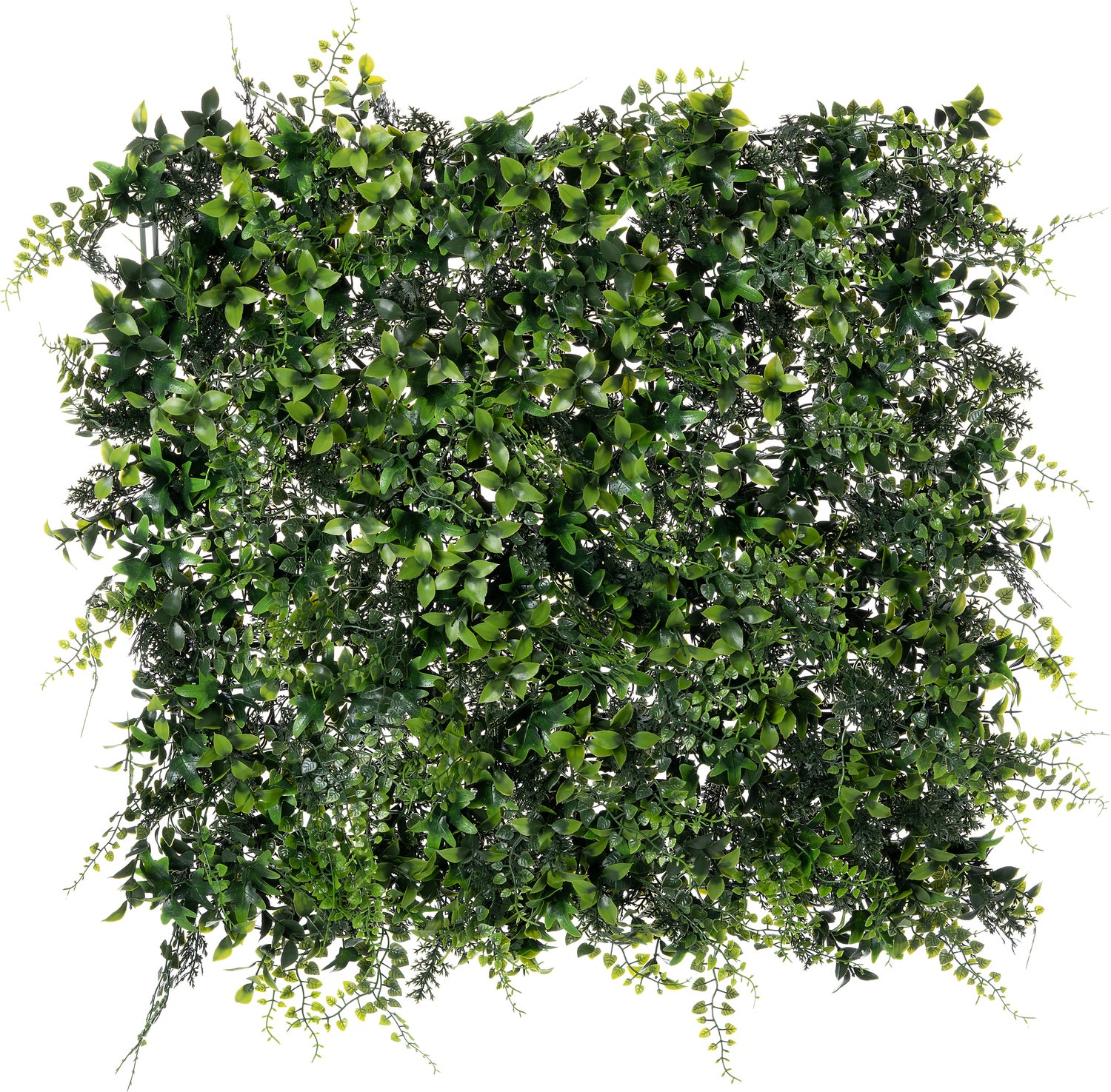 Intratuin verticale kunstwand donker groen 50 x 50 x 6 cm