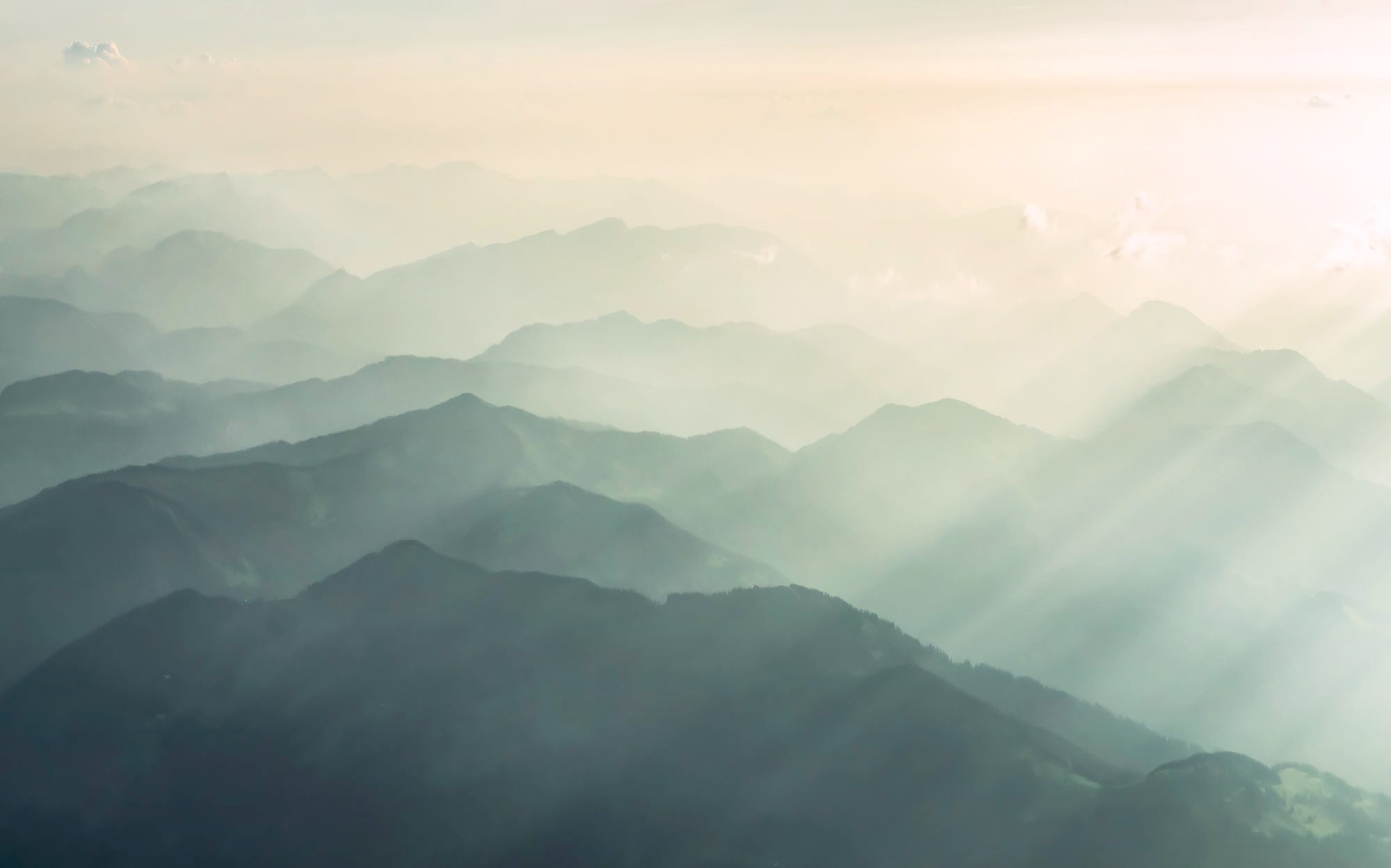 Komar Fototapete »Digitaldruck Vlies -  Hazy Hills - Grösse 400 x 250 cm« bedruckt | floral | geblümt | gemustert | tropisch glatt Wohnzimmer, Schlafzimmer