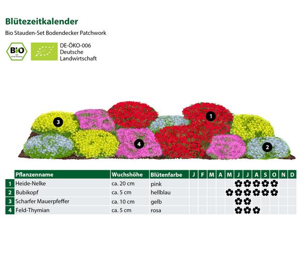 Bio Stauden-Set Bodendecker Patchwork,