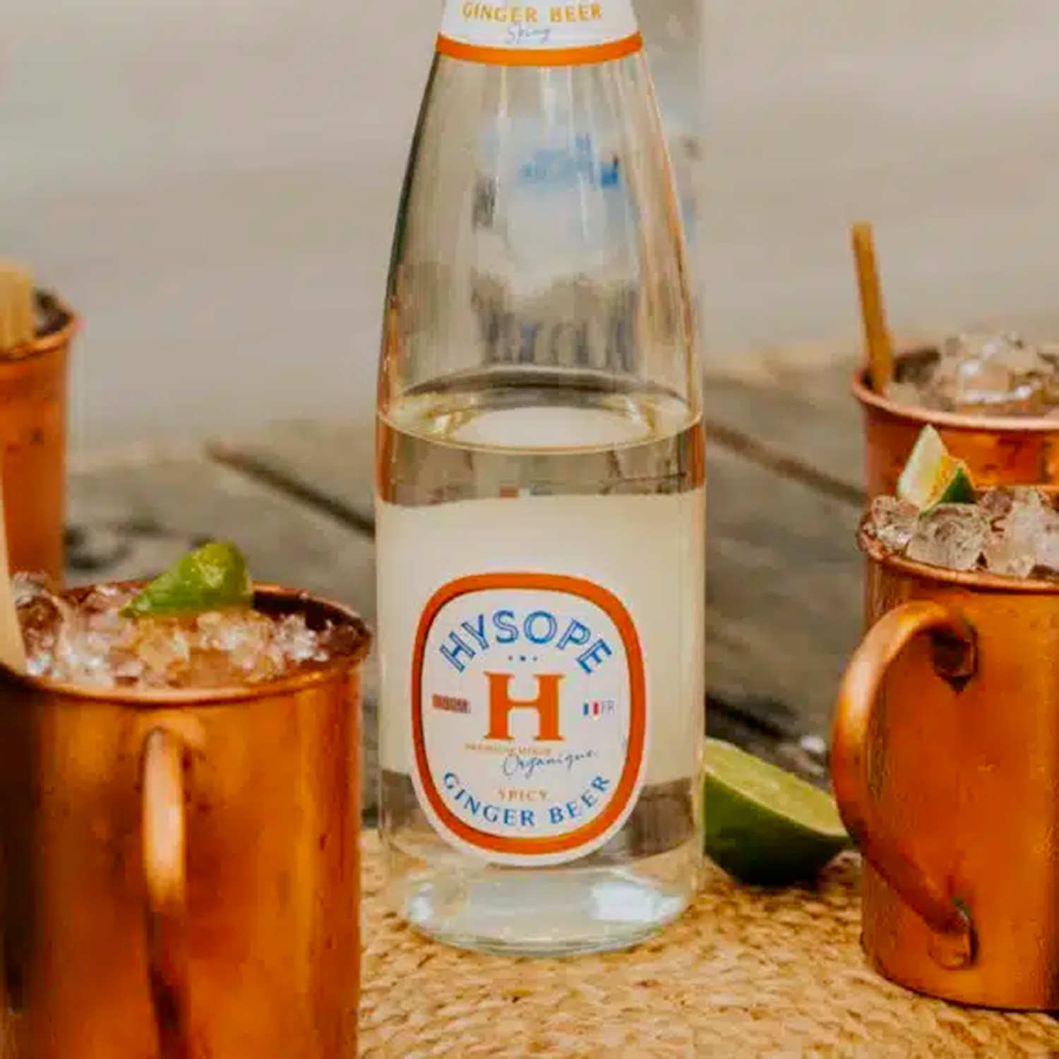 Ginger beer Hysope bio et française - Grand format