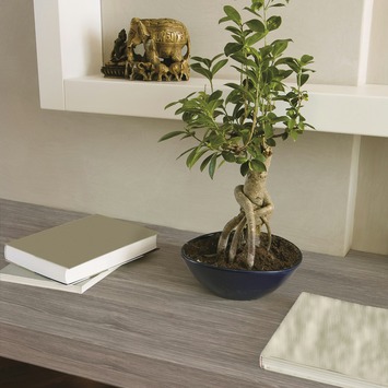 Decoratiefolie grijs hout (346-0587) 45x200 cm