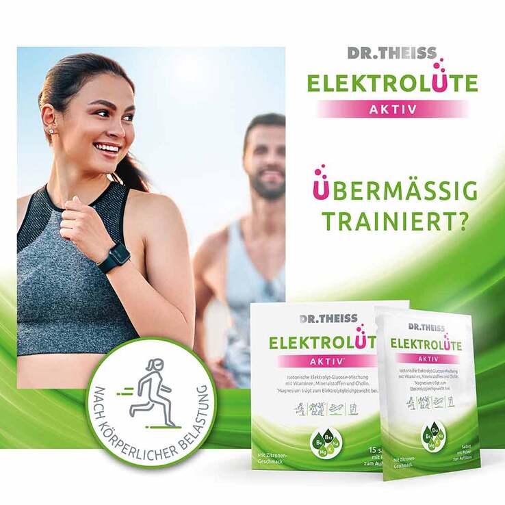 Dr. Theiss Elektrolüte Aktiv Pulver Sachets, 15 St