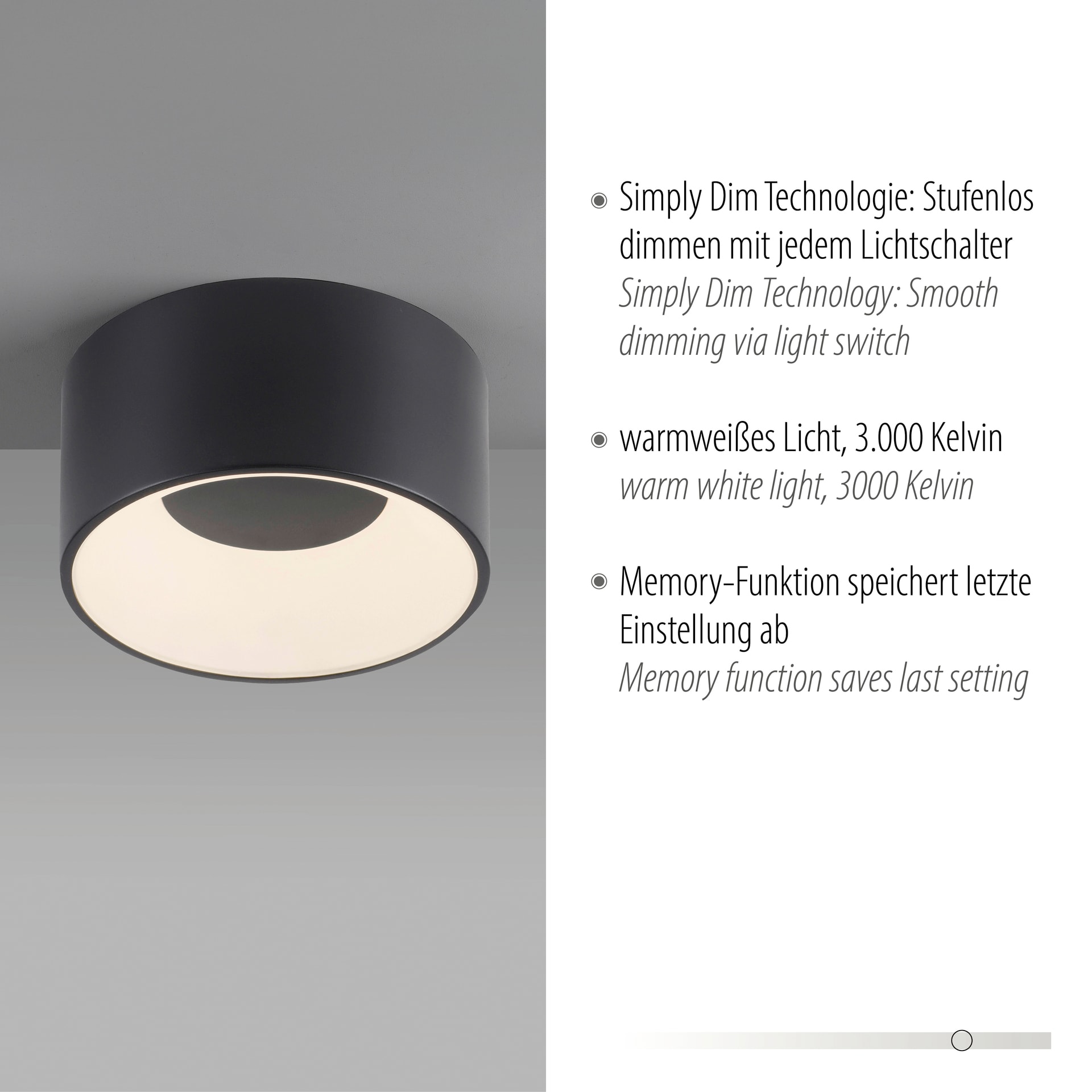 JUST LIGHT LED Deckenlampe TANIKA 16 cm schwarz
