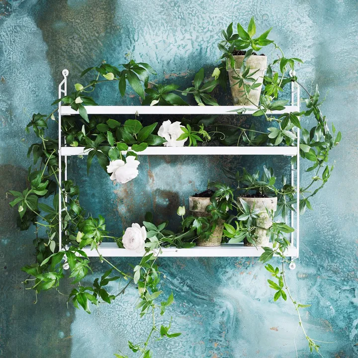 String Furniture Etagère Pocket | Blanc