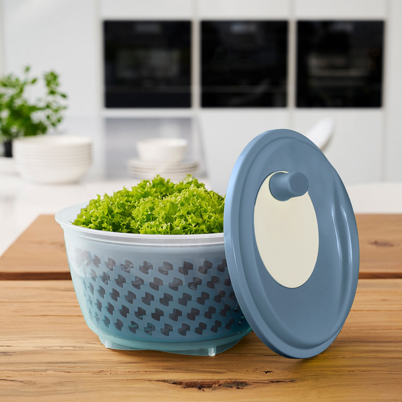 rotho Salatschleuder FRESH 4,5 Liter Horizon Blue