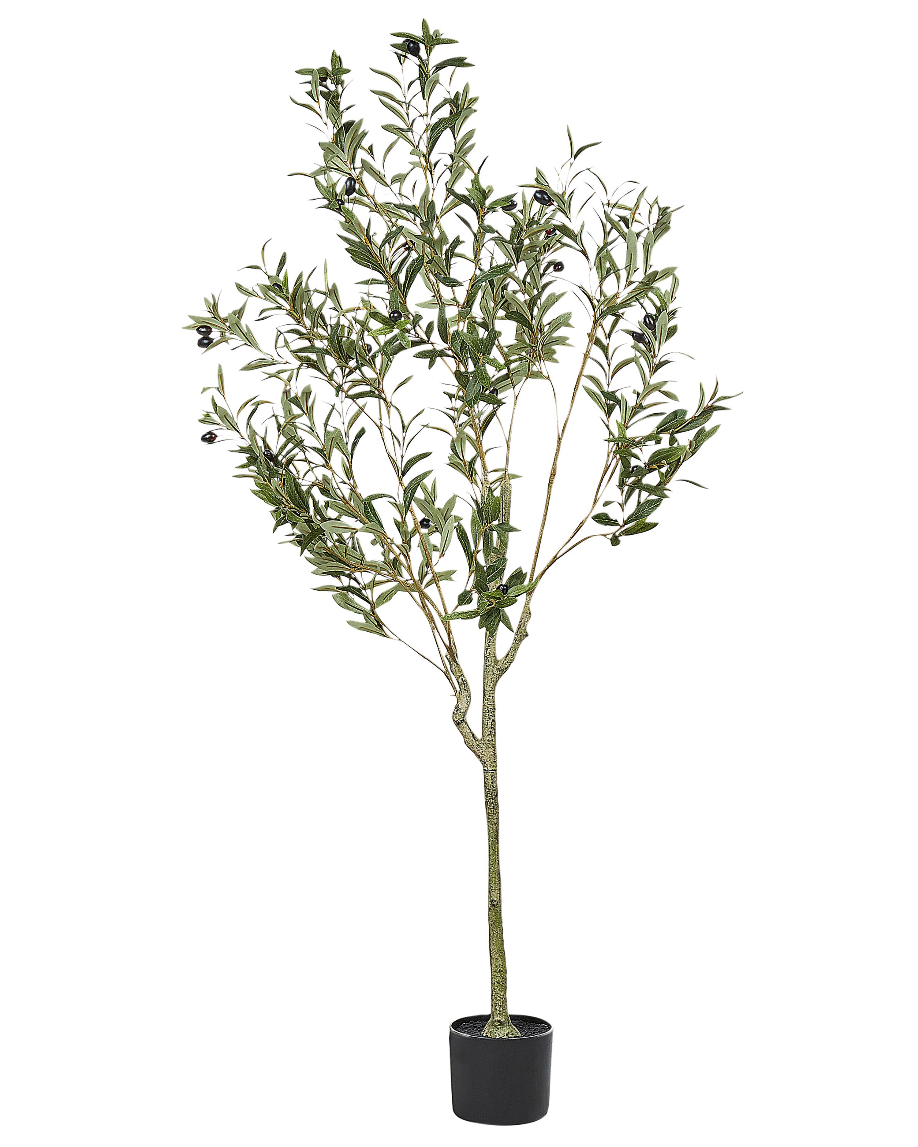 Kunstplant OLIVE TREE 153 cm Groen
