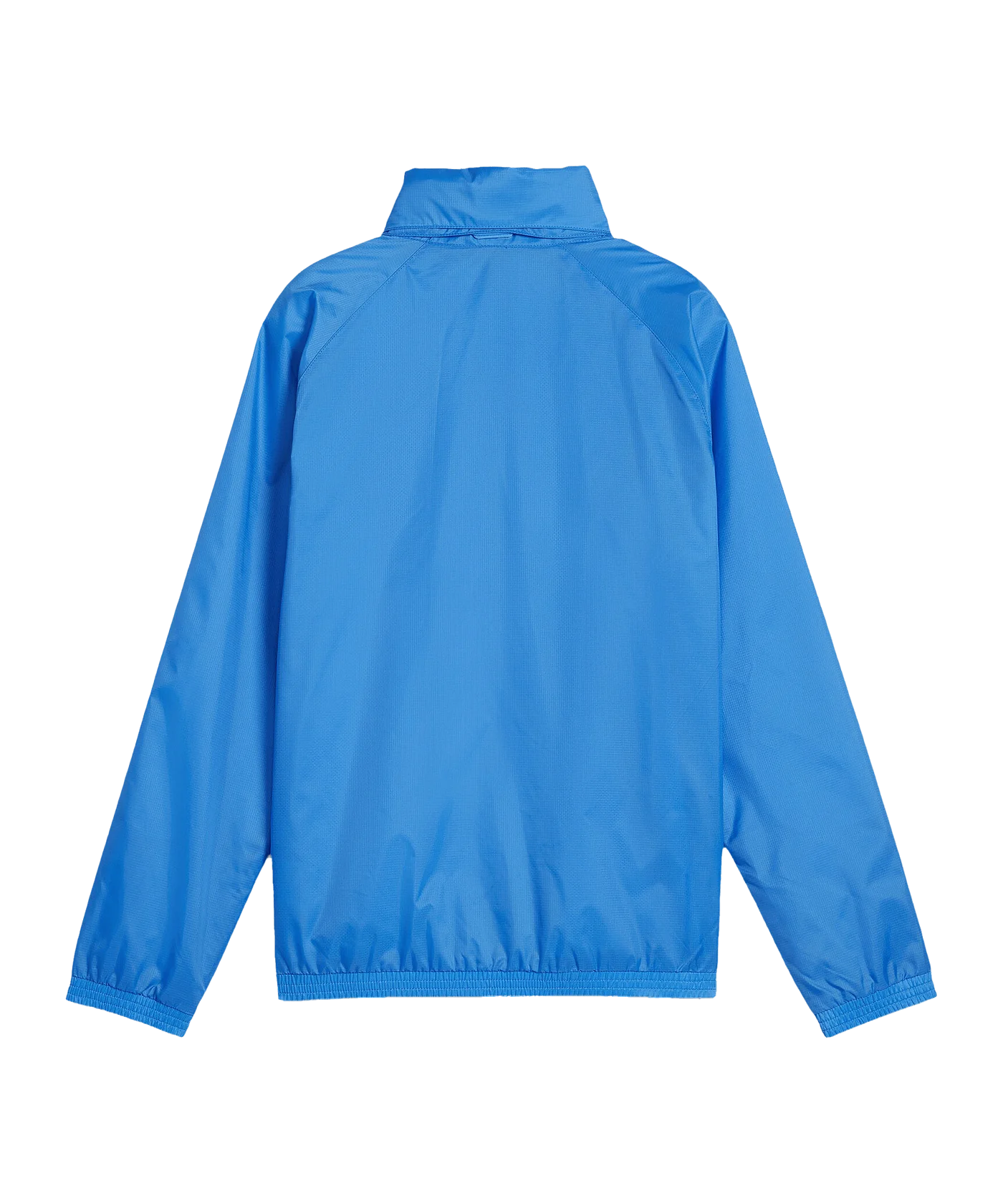PUMA teamGOAL Allwetterjacke Kids Blau Weiss F02
