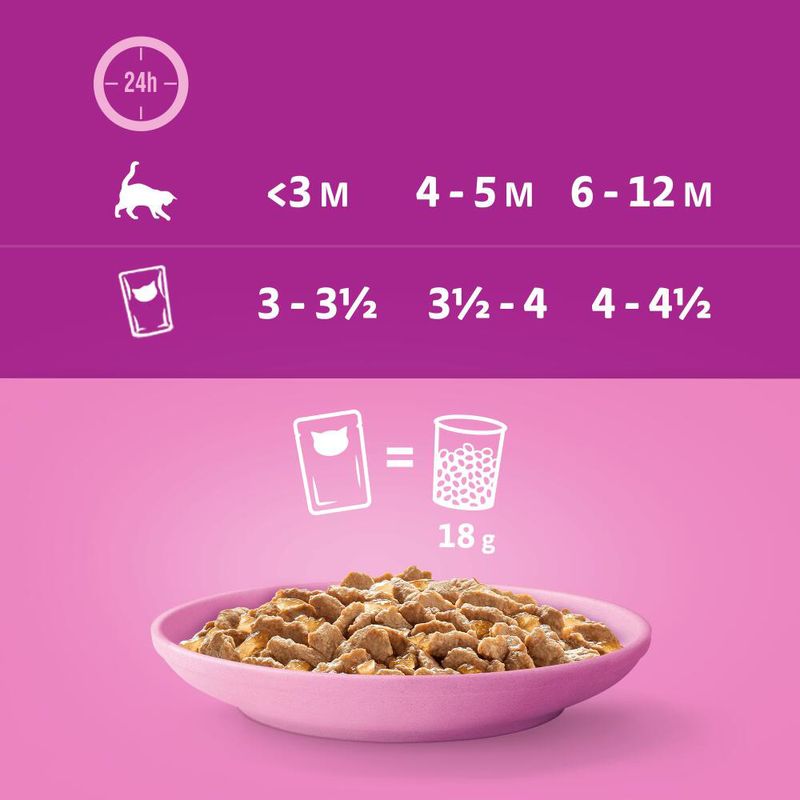 Whiskas Junior 12 x 85 g