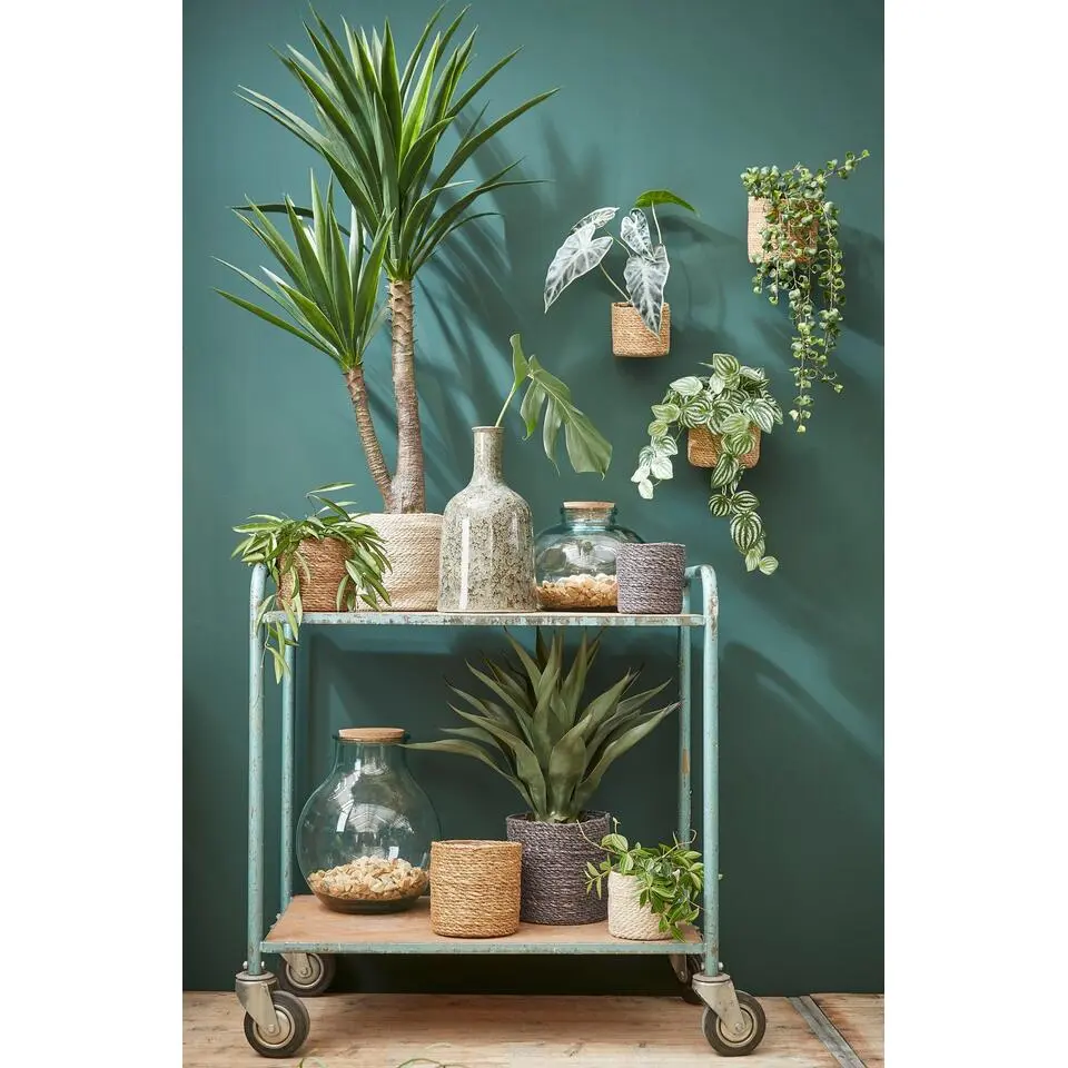 Mica Decorations Atlantic Mand voor Planten Set van 2 - Ø30 cm - Crème