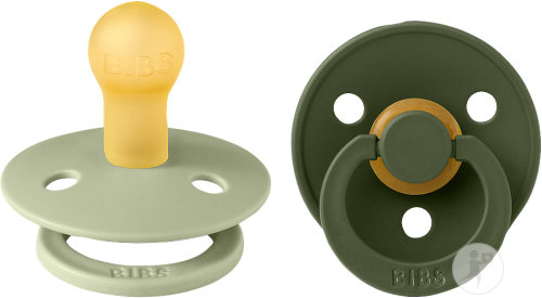 Bibs Colour Collection Sucettes 0-6 Mois Taille 1 Sage Hunter Green 2 Pièces