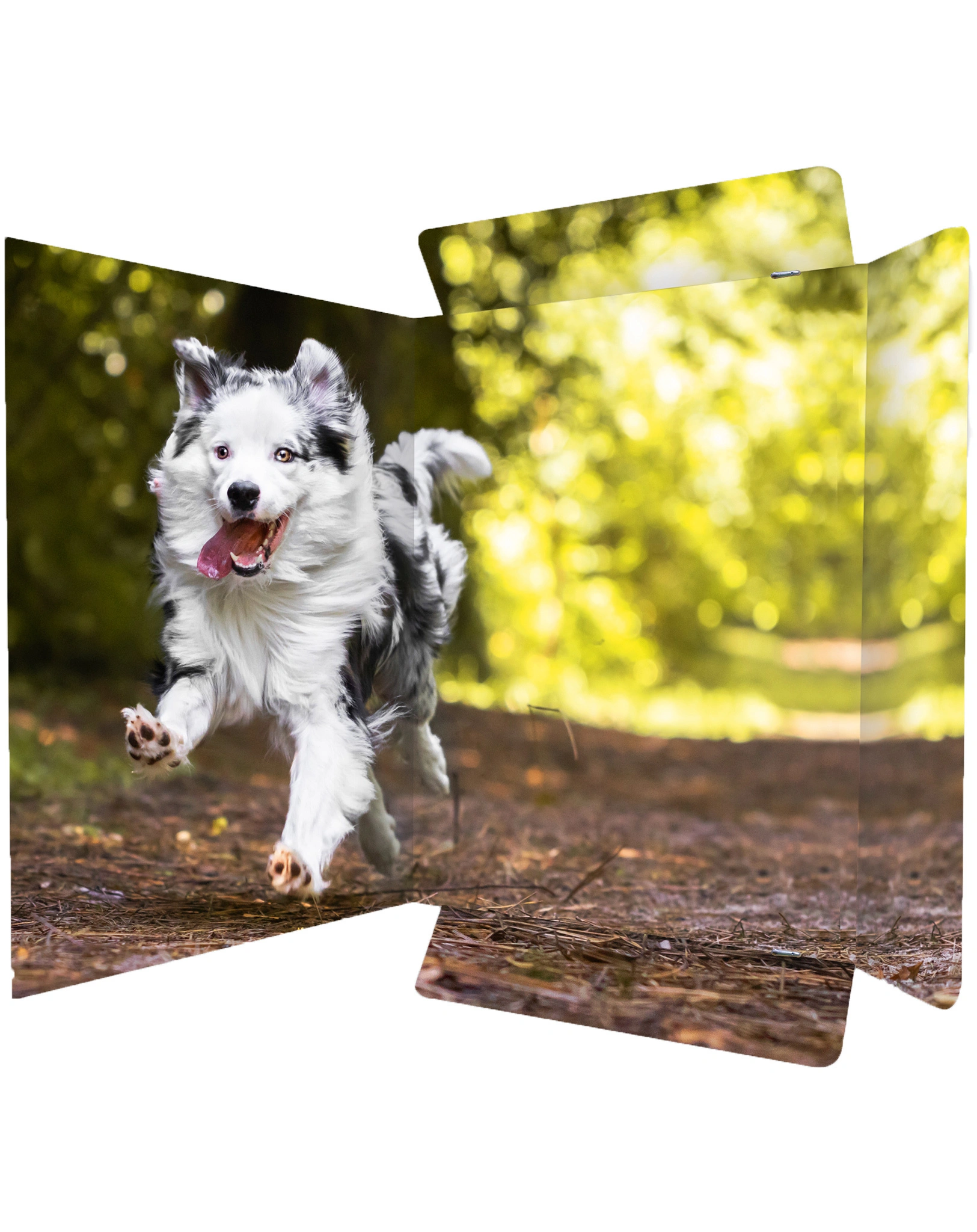 Zeichenmappe BEST FRIEND (31x44) A3