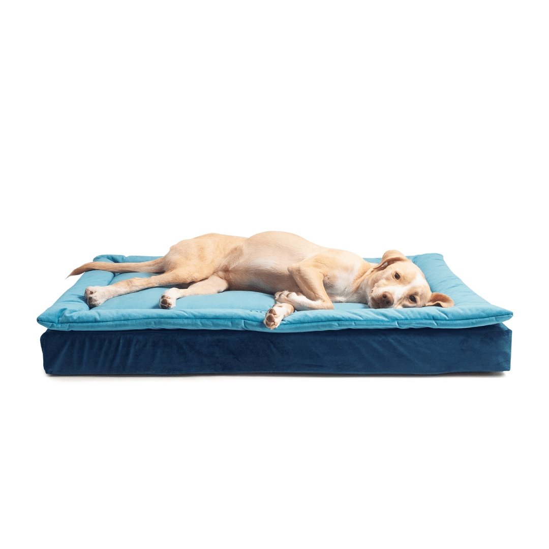 Cama para cachorro - Oceano