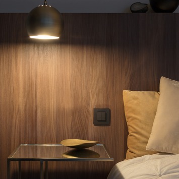 Niko Dimschakelaar Philips Hue Antraciet