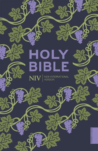 NIV Holy Bible (Hodder Classics) - New International Version (Paperback)