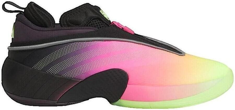 Adidas D.o.n Issue 7 Basketbalschoenen Veelkleurig 2 3