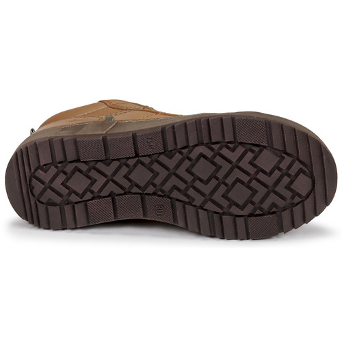 Aster - BARNA - Camel