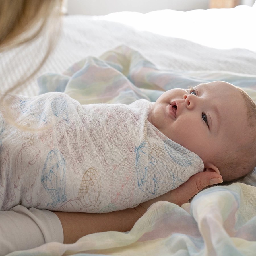 aden + anais™ Pucktücher above the clouds 2er-Pack