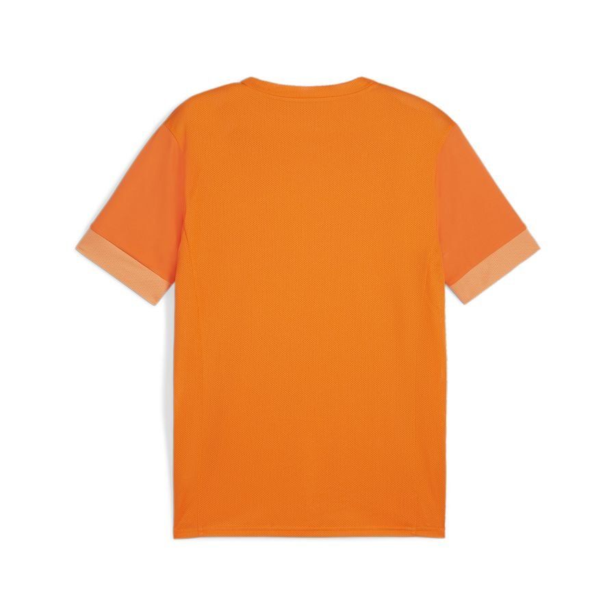 PUMA T-shirt d'Entraînement teamGOAL - Orange/Blanc