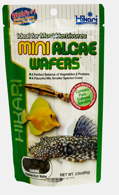 Hikari Mini algae wafers 85 gram | Voeding siervissen