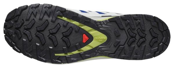 Chaussures Trail Salomon XA Pro 3D v9 Bleu/Vert Homme