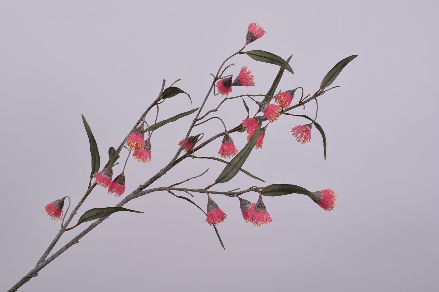 Silk-ka kunsttak Eucalyptus bloesem roze 103 cm