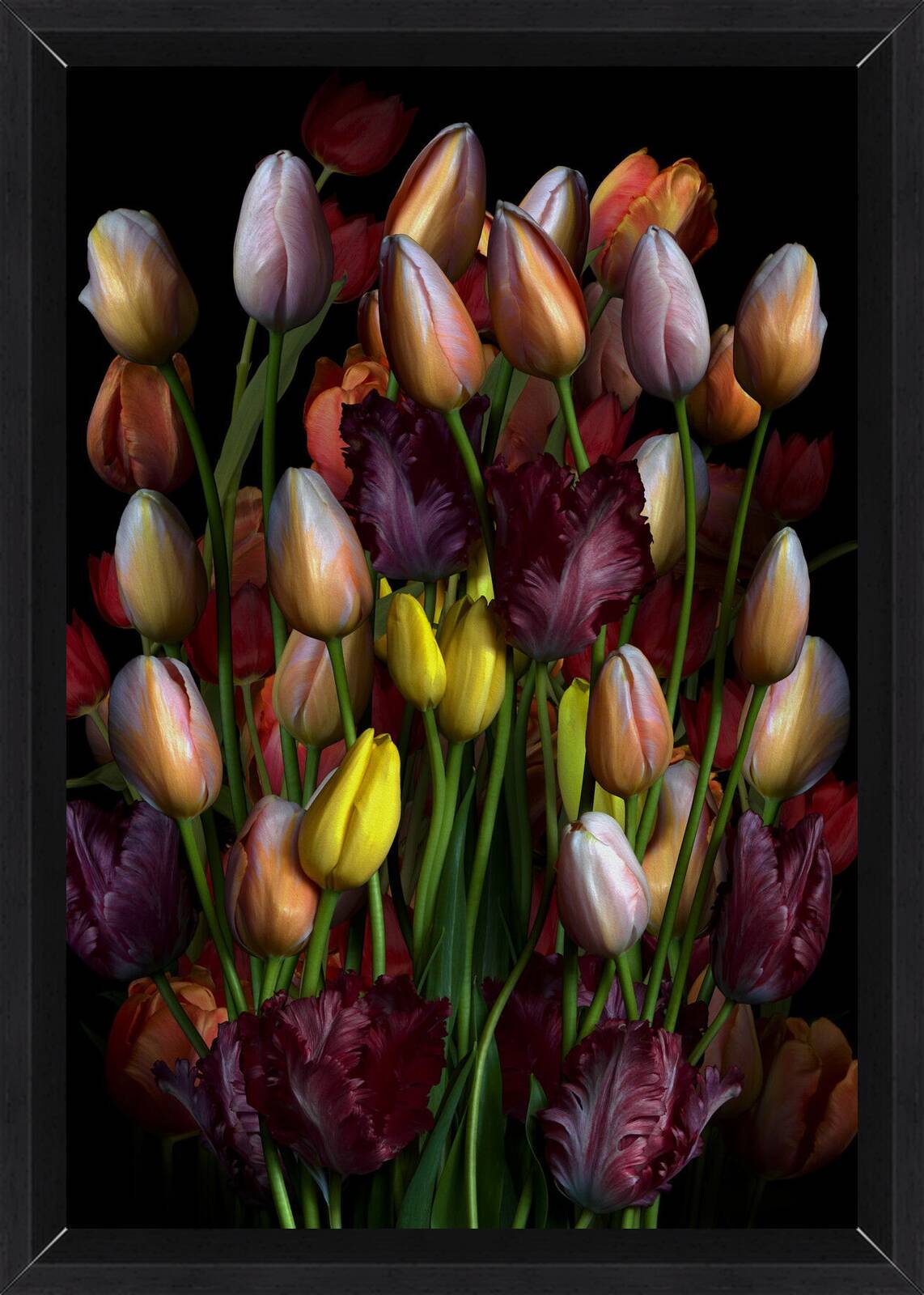 Florescence XI by Juan Fortes - Open Edition.