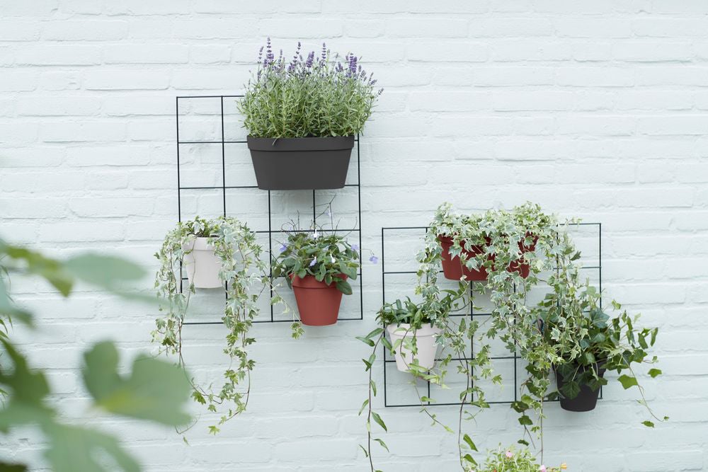 Elho muur bloempot Loft Urban antraciet 28 x 15 x 13,2 cm
