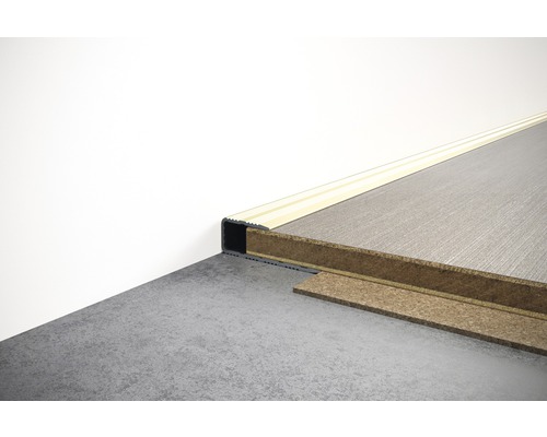 SKANDOR randprofiel, champagne geanodiseerd, voor 6-7 mm planken, 9x29x900 mm