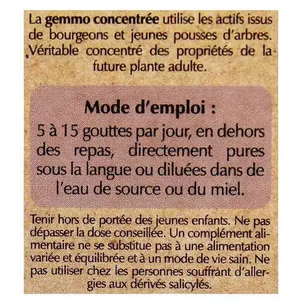 Herbalgem Artigem Complexo de Gemoterapia Bio Articular 30ml