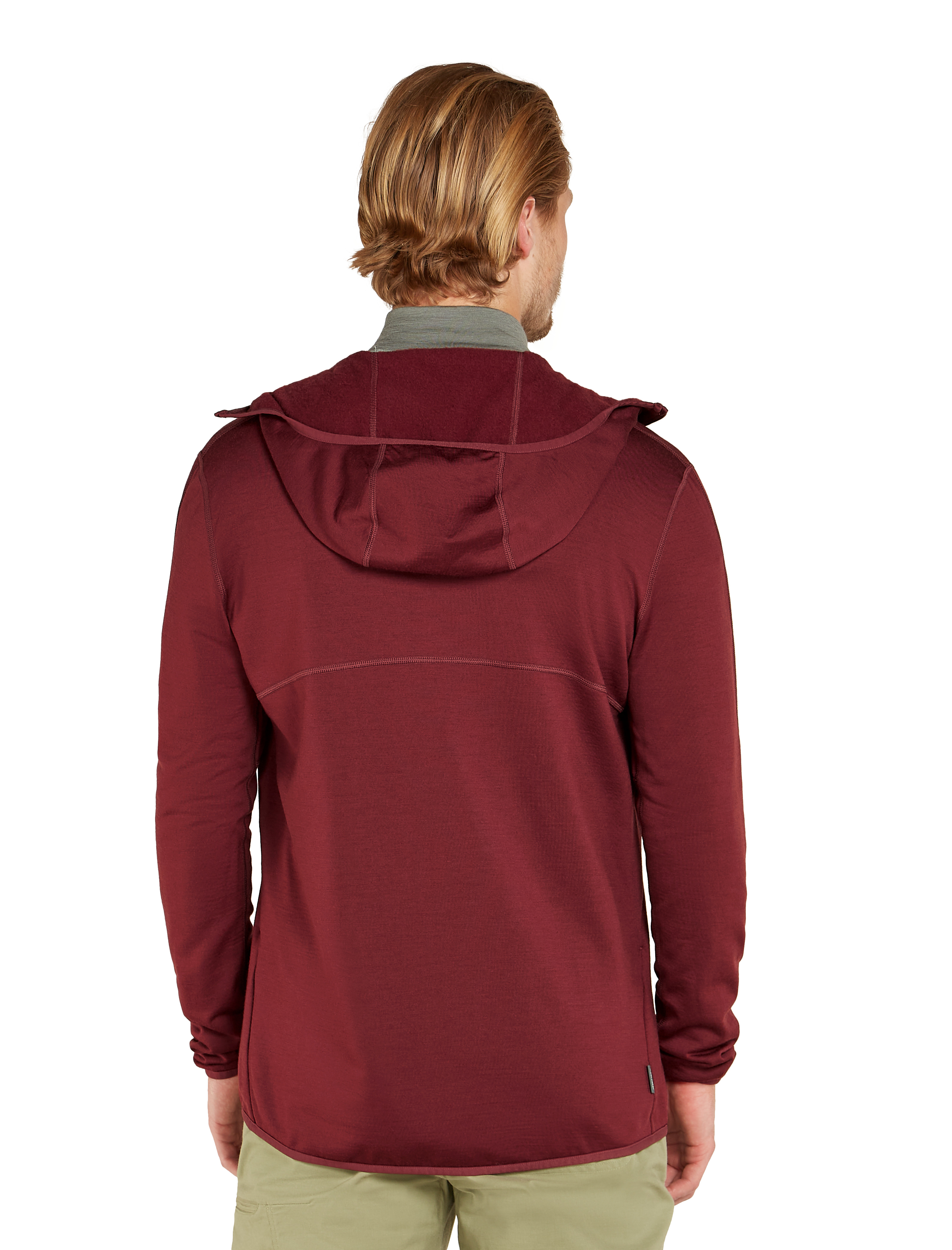M Merino 560 Realfleece EleMtal II LS Zip H