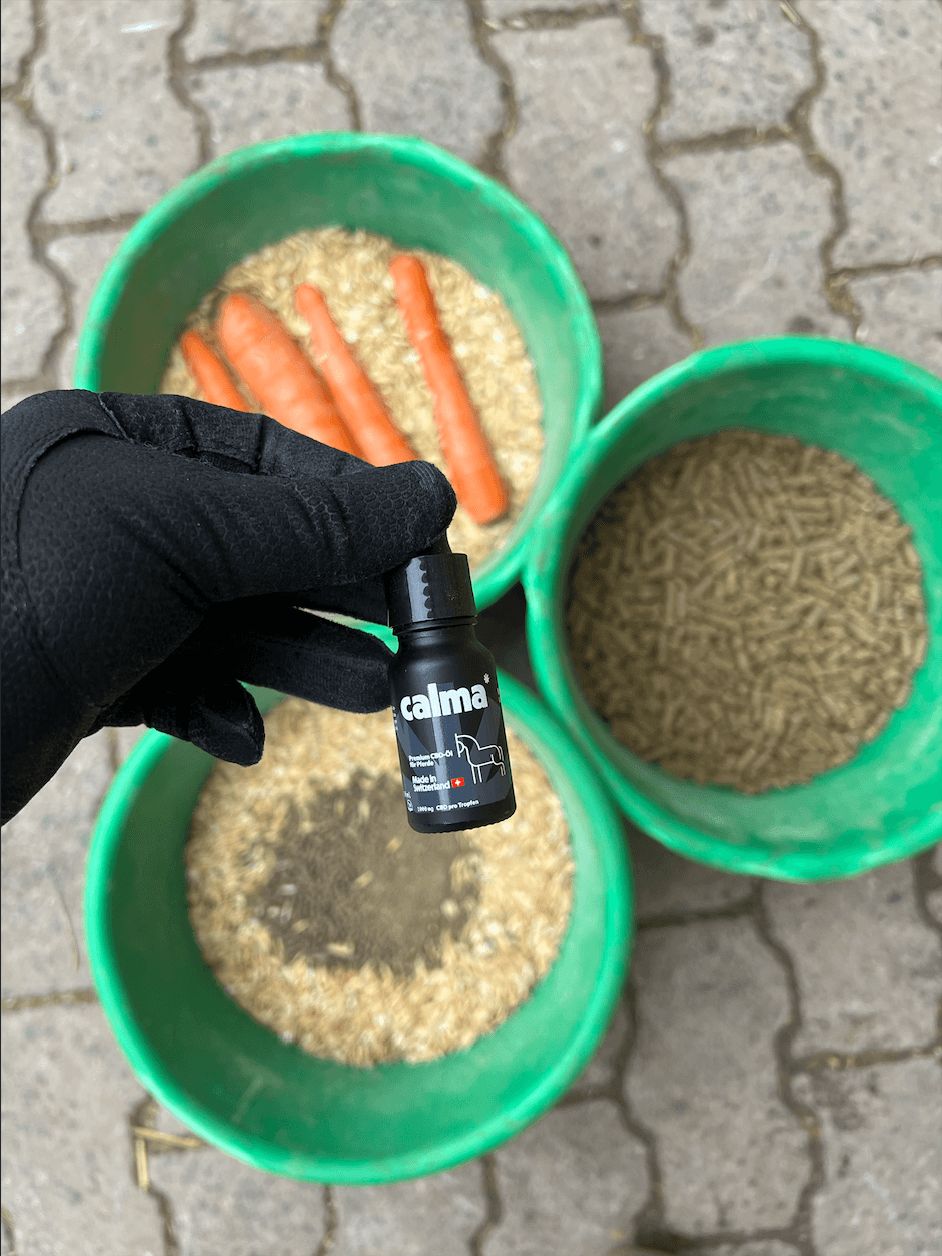 CALMA CBD Öl für Pferde