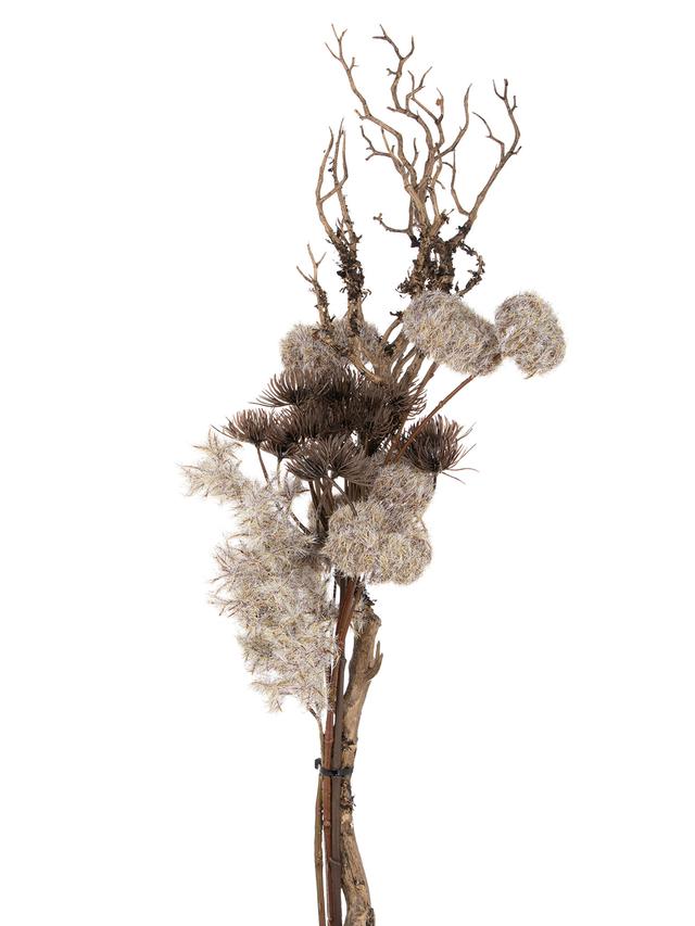 Arrangement mit Astzweig