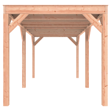 Overkapping Douglas 545x255cm a-symmetrisch