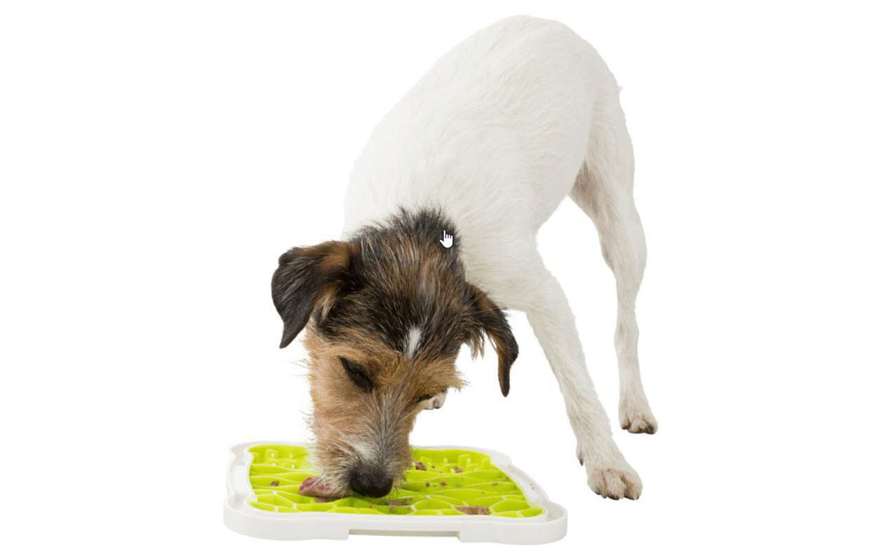 Hunde-Spielzeug Lick’n'Snack Platte 20 x 20 cmSpielzeug