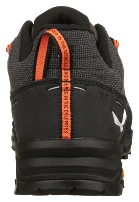 Chaussures de Randonnée Salewa Alp Trainer 2 Marron