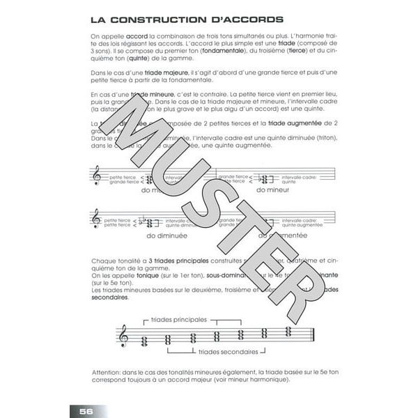 Voggenreiter Electric Guitar Francais/Frenc
