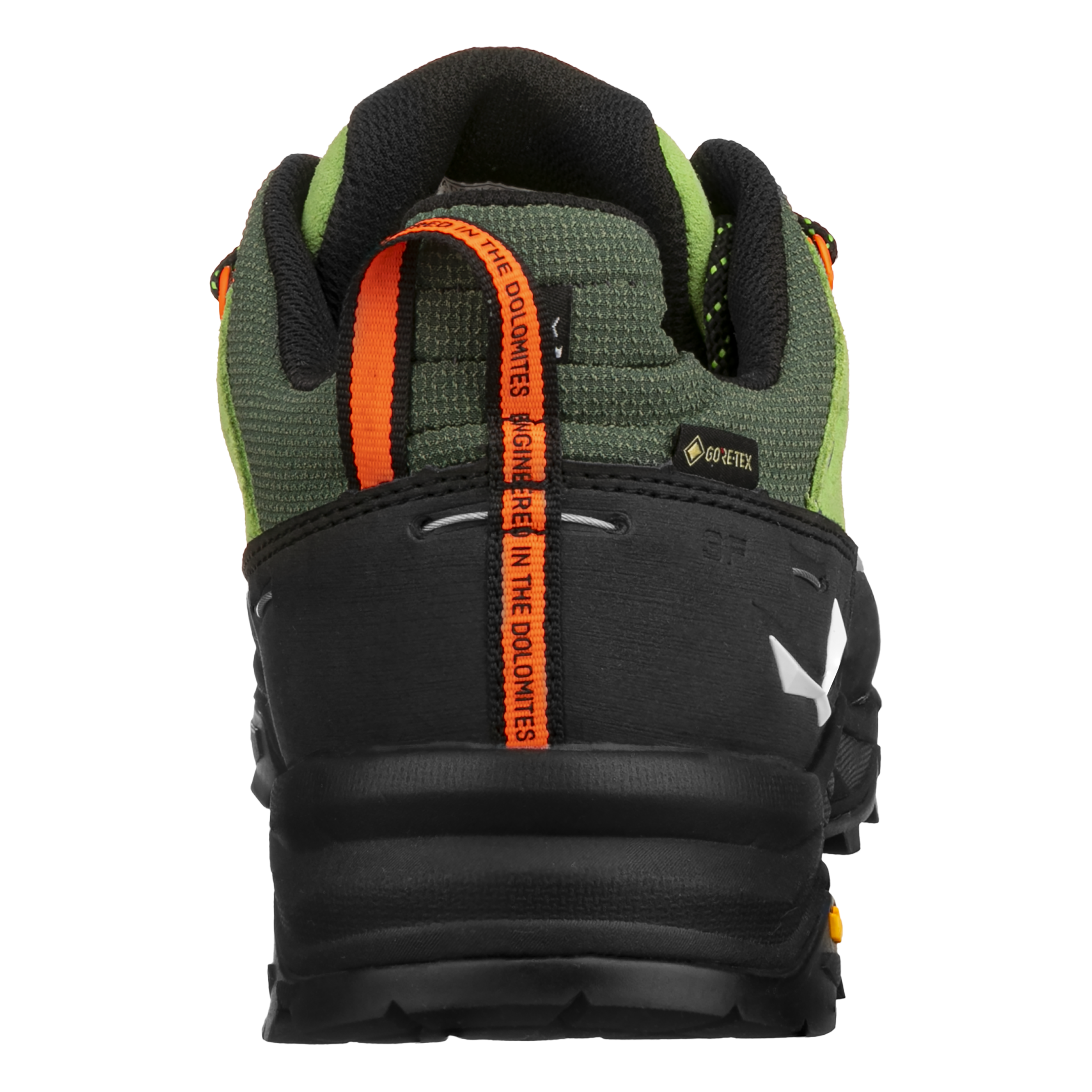 Alp Trainer 2 Gore-Tex® Schuh Herren