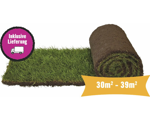 Premium gerold graszoden, bestelhoeveelheid 30-39 m², dagelijks vers gesneden