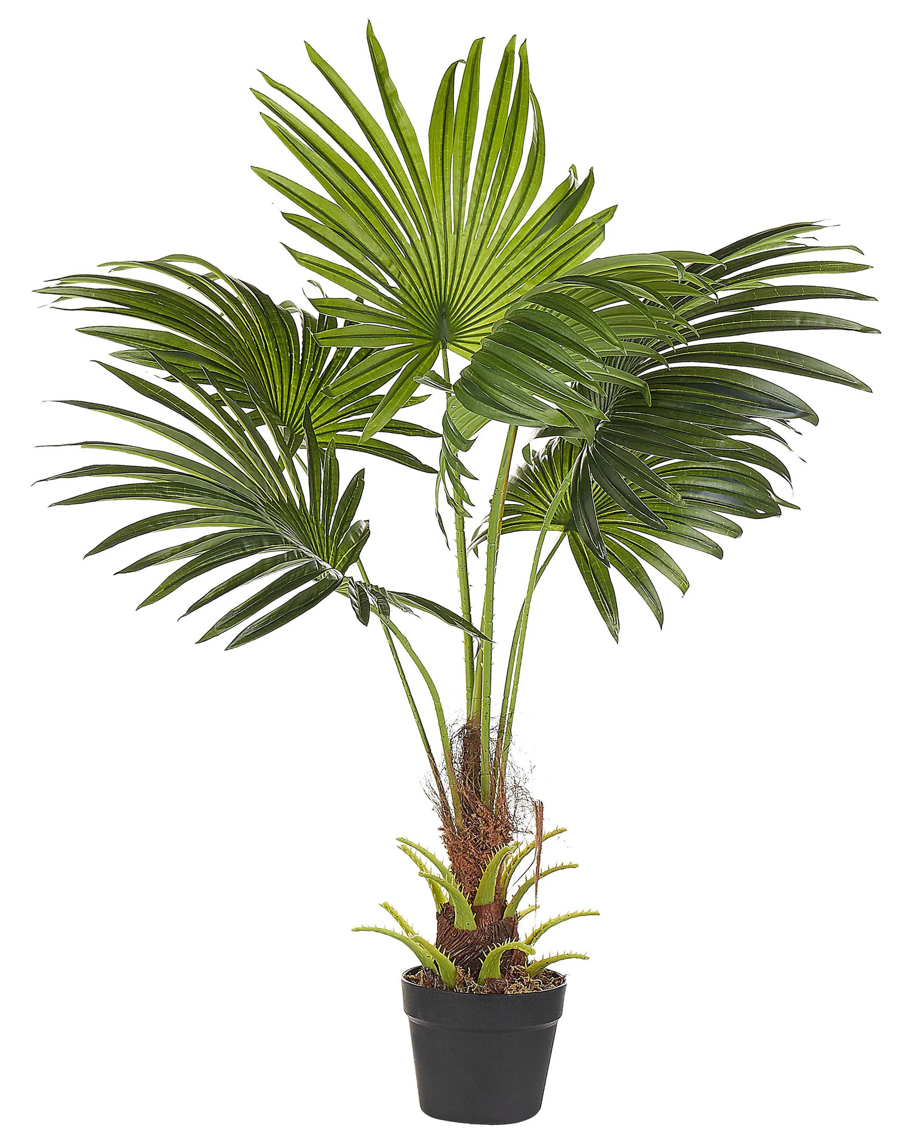 Kunstplant FAN PALM 100 cm Groen