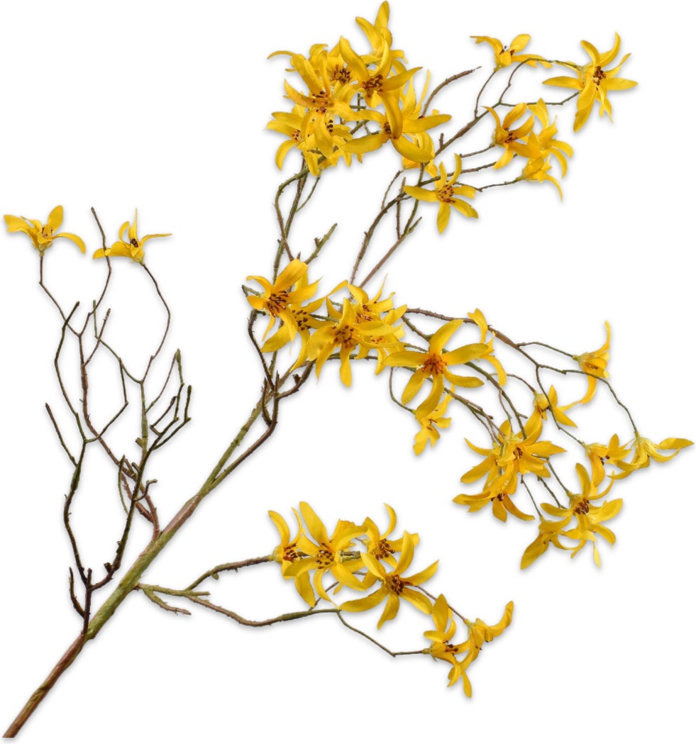 Silk-Ka kunstbloem Forsythia geel 101 cm